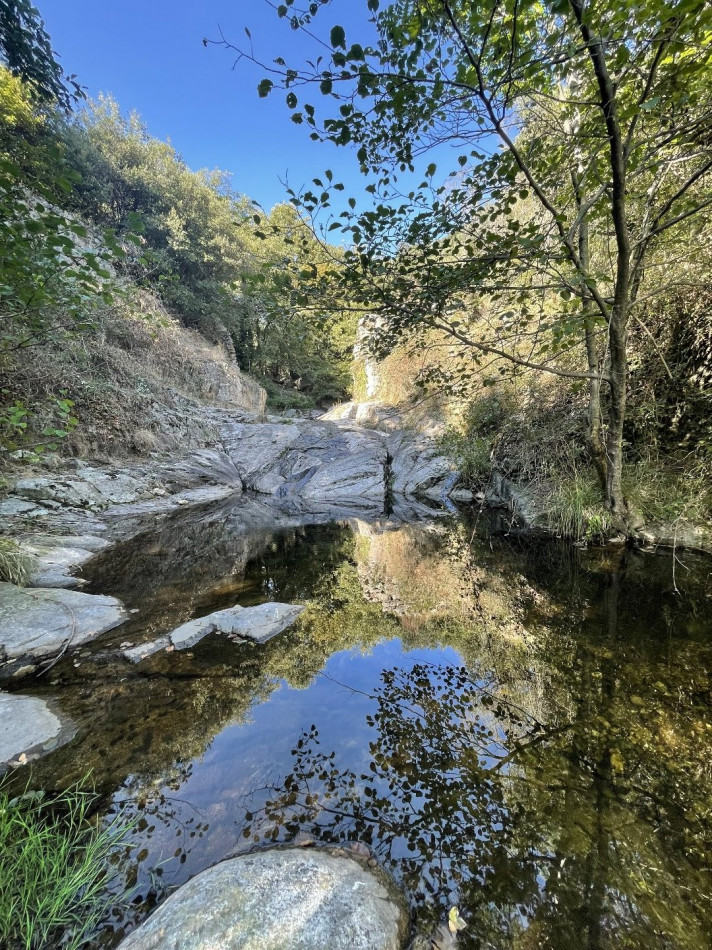 à vendre Mas Soudorgues - Photo 9
