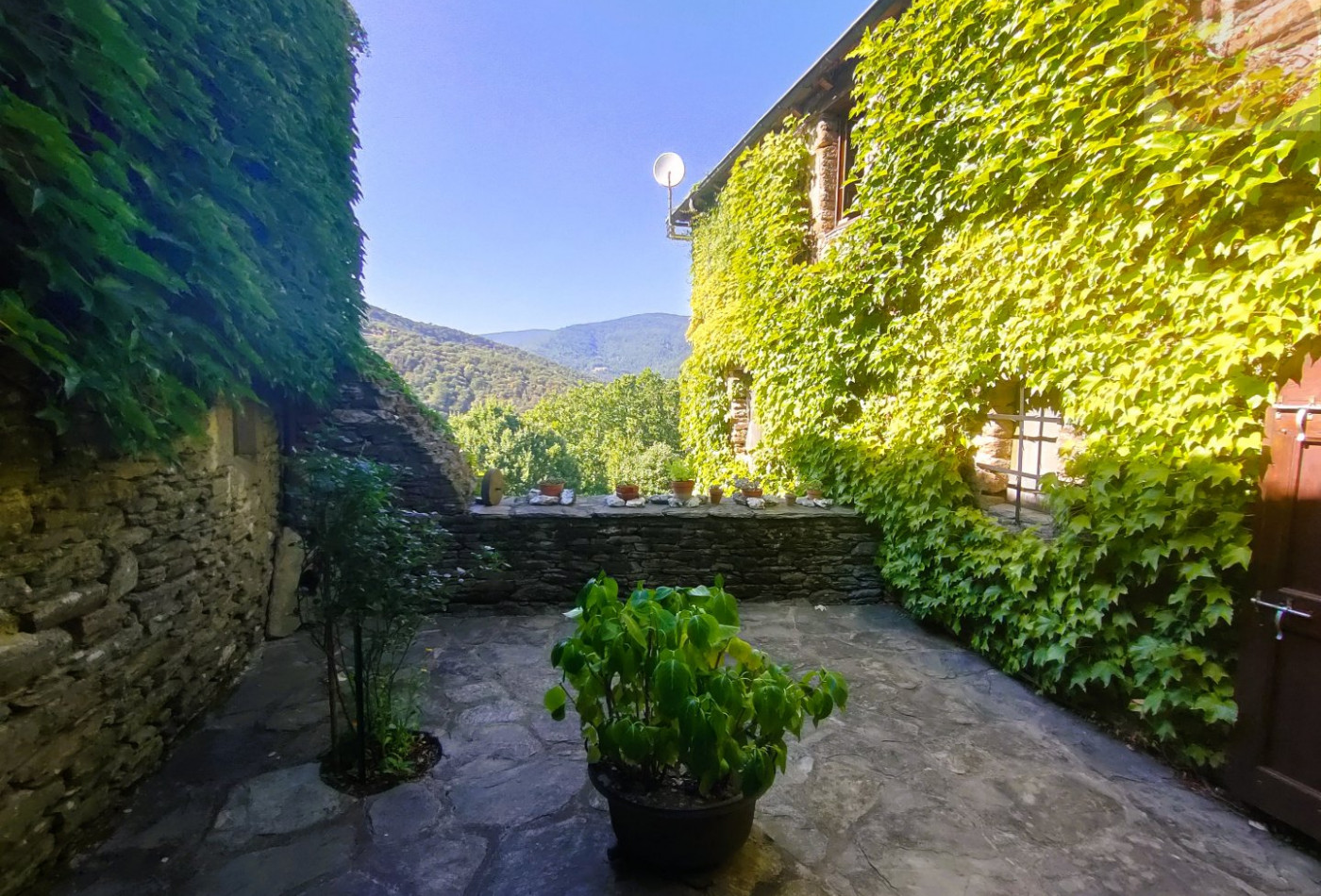 vente Mas Saint Germain De Calberte - Photo 3