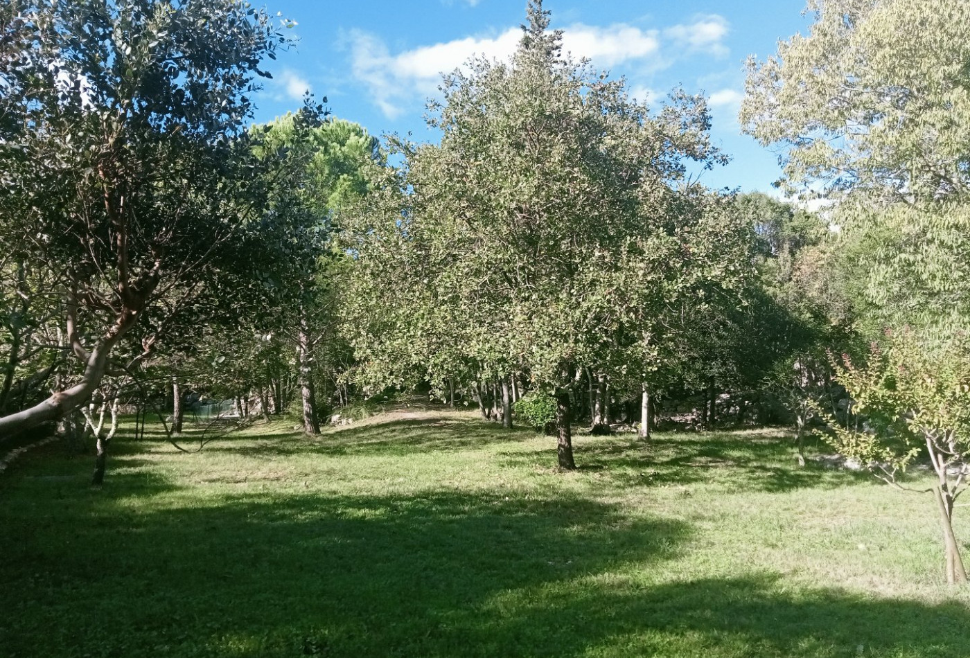 vente Maison Sauve - Photo 5