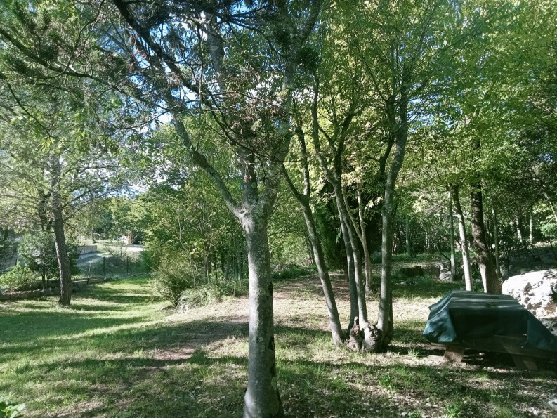 vente Maison Sauve - Photo 6