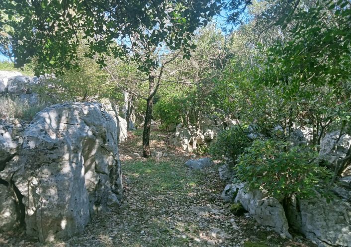 à vendre Maison Sauve