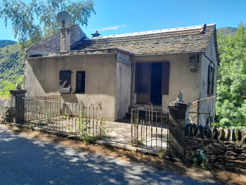 vente Maison à rénover Saint Privat De Vallongue - Photo 2