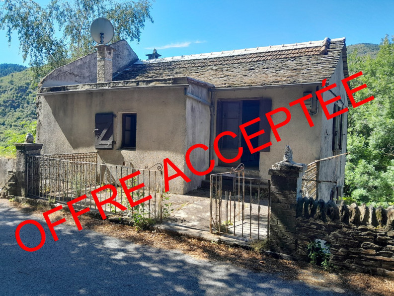 vente Maison à rénover Saint Privat De Vallongue - Photo 1