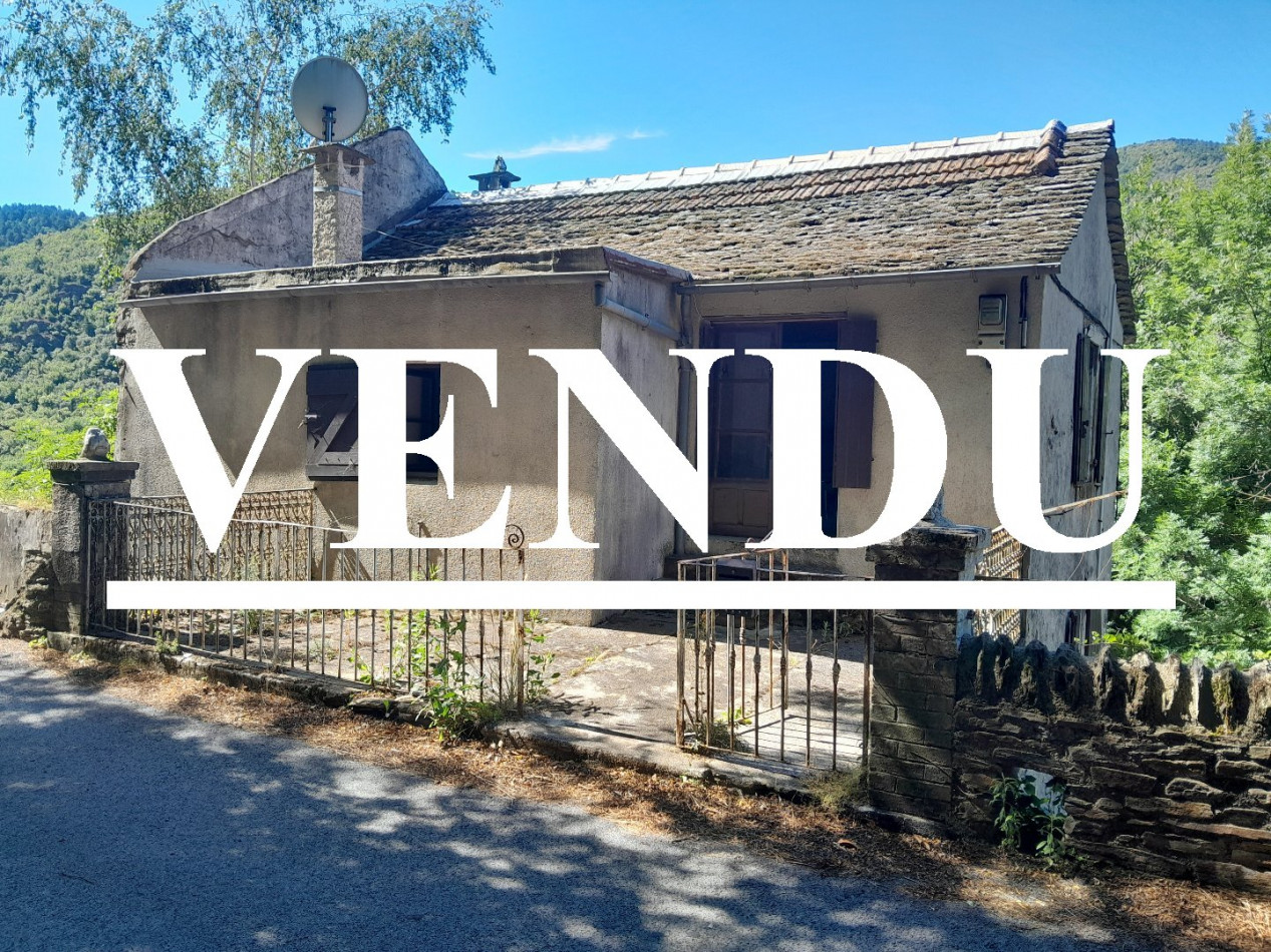 à vendre Maison à rénover Saint Privat De Vallongue - Photo 1