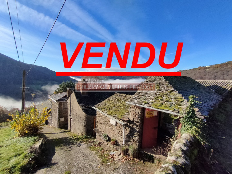 vente Maison à rénover Florac - Photo 1