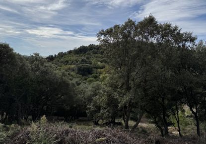 vente Terrain constructible Monoblet