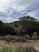 vente Terrain constructible Monoblet