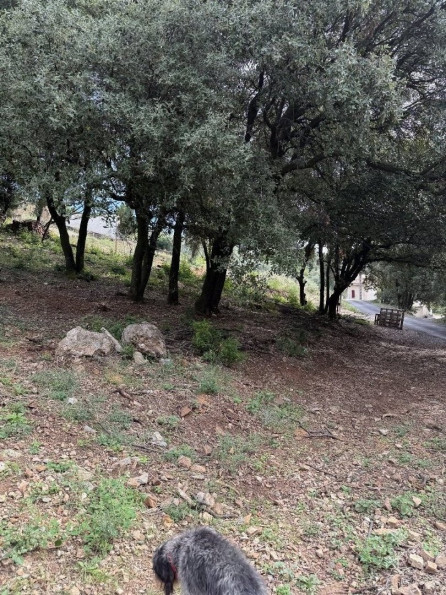 vente Terrain constructible Monoblet - Photo 4