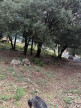 vente Terrain constructible Monoblet