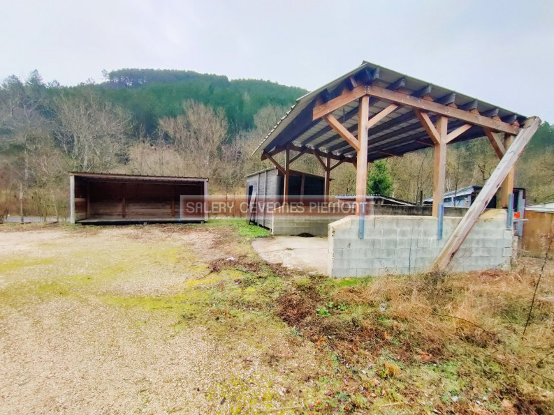 vente Atelier Meyrueis - Photo 10