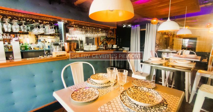 vente Maison de village Florac