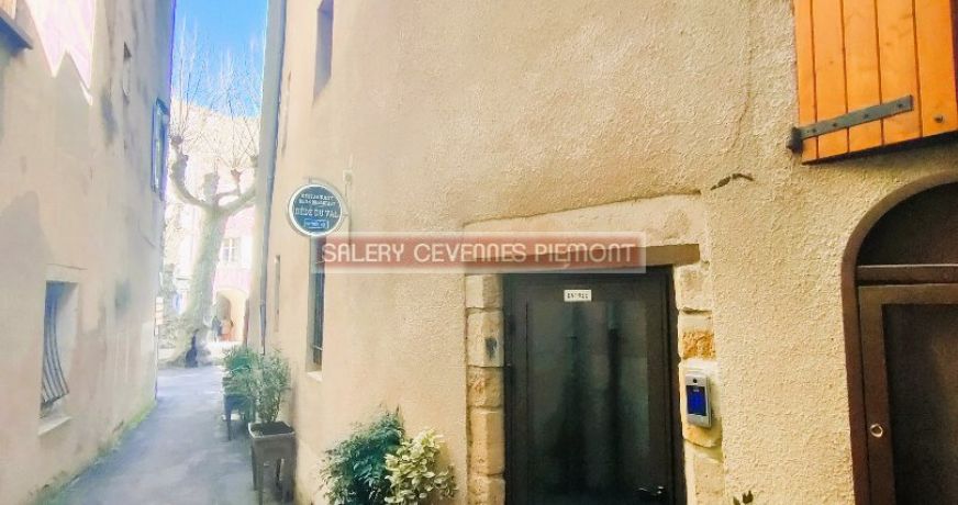 vente Maison de village Florac