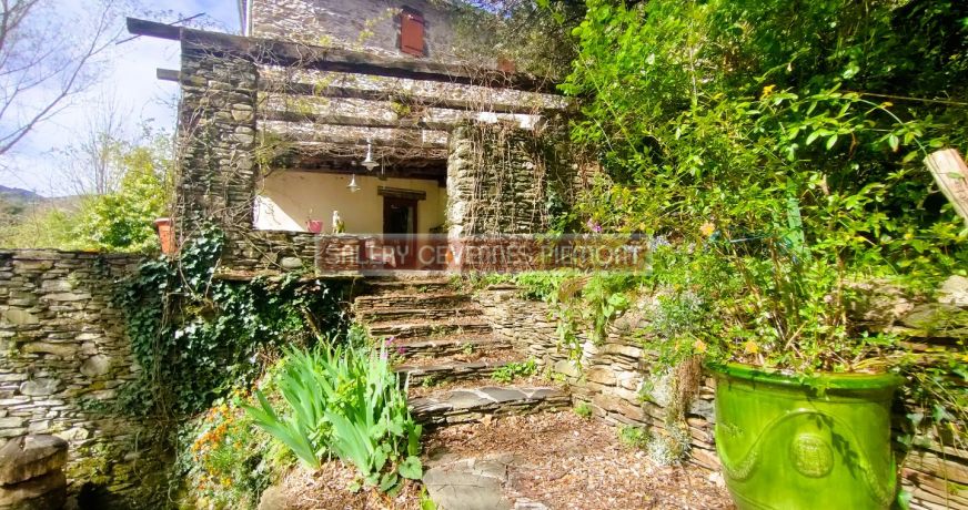 vente Maison Saint Andre De Valborgne