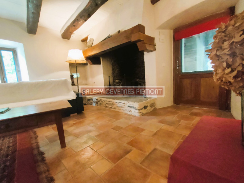 vente Maison Saint Andre De Valborgne - Photo 8