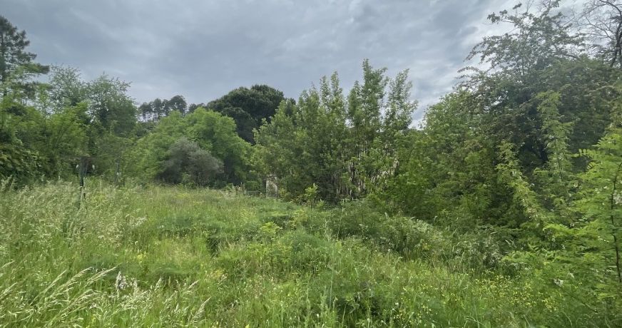 vente Maison en pierre Anduze