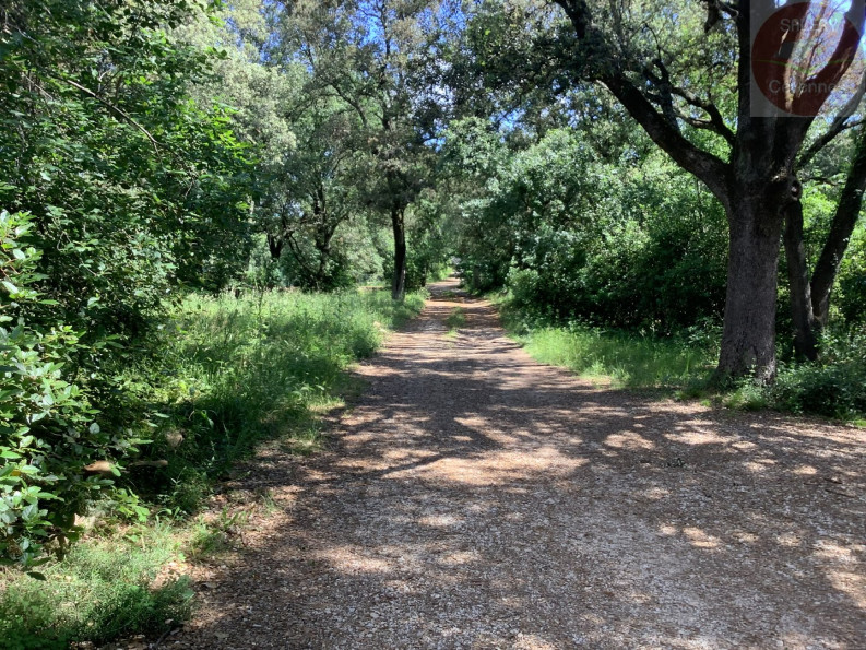 vente Maison Vezenobres - Photo 5