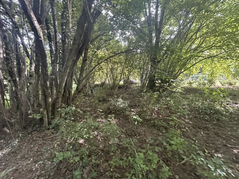 vente Maison à rénover Saumane - Photo 10