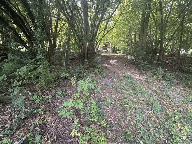 vente Maison à rénover Saumane - Photo 1