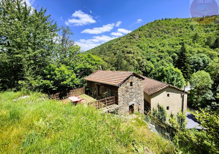 à vendre Propriété Saint Andre De Valborgne