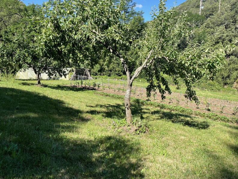 vente Mas L'estrechure - Photo 10