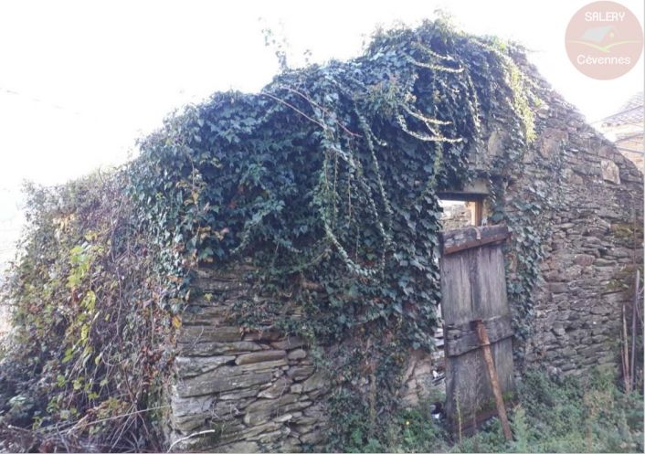 à vendre Maison à rénover Saint Michel De Deze