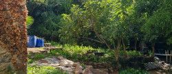 vente Maison de village Aveze