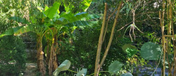 vente Maison de village Aveze