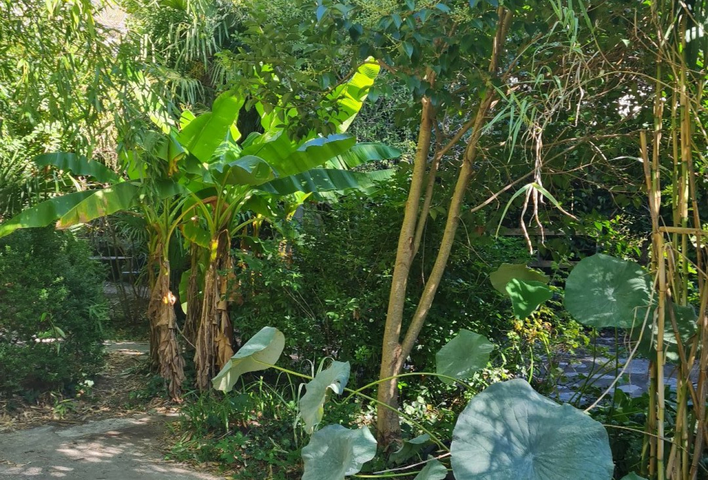vente Maison de village Aveze - Photo 6