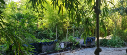 vente Maison de village Aveze