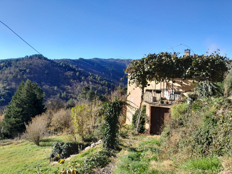 vente Maison Saint Michel De Deze - Photo 4