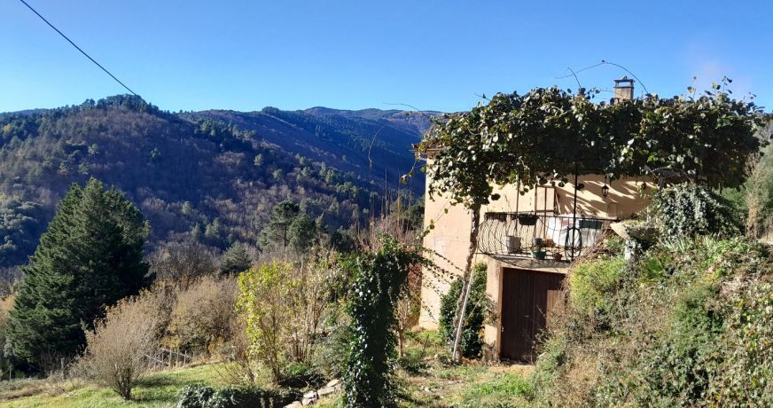 vente Maison Saint Michel De Deze