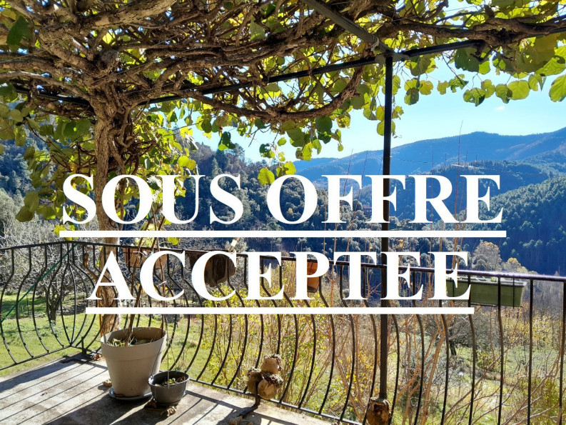 vente Maison Saint Michel De Deze - Photo 1