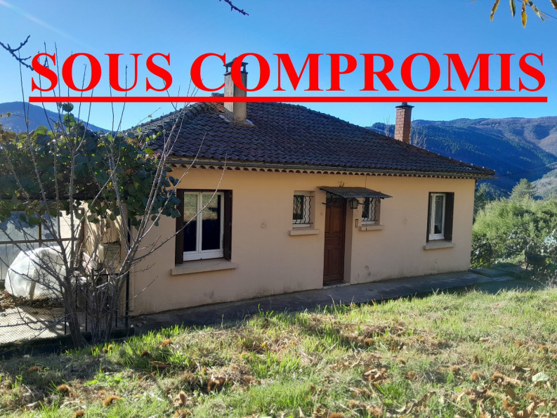 vente Maison Saint Michel De Deze - Photo 1