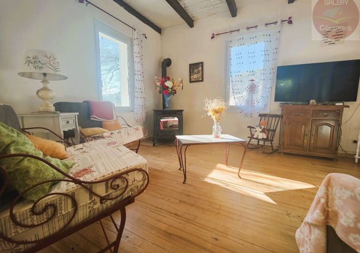 à vendre Maison Saint Andre De Lancize