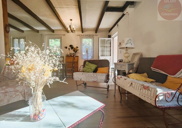 à vendre Maison Saint Andre De Lancize