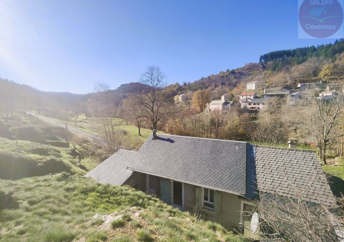 à vendre Maison Saint Andre De Lancize
