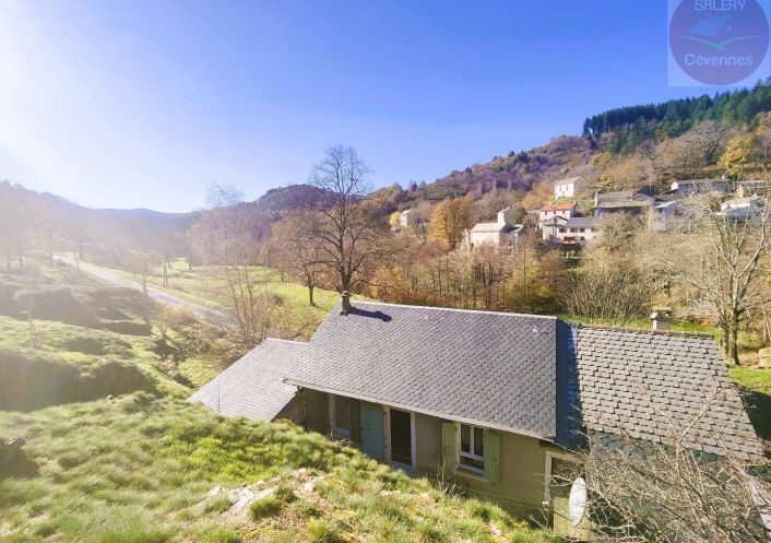 à vendre Maison Saint Andre De Lancize