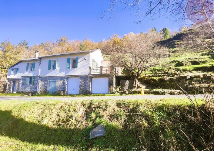à vendre Maison Saint Andre De Lancize