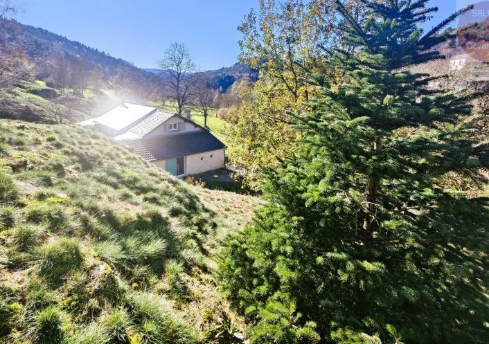 à vendre Maison Saint Andre De Lancize
