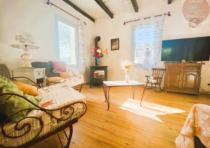 à vendre Maison Saint Andre De Lancize