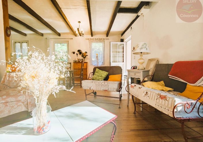 à vendre Maison Saint Andre De Lancize