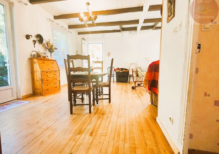à vendre Maison Saint Andre De Lancize