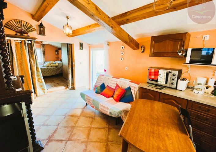 à vendre Maison Saint Andre De Lancize