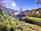 à vendre Maison Saint Andre De Lancize