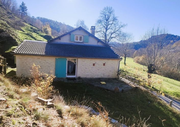 à vendre Maison Saint Andre De Lancize