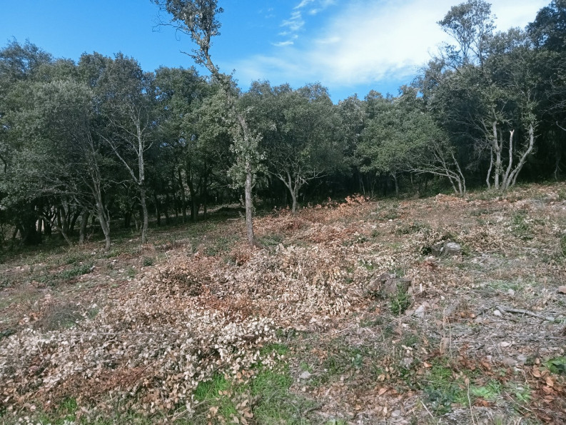 vente Terrain constructible Monoblet - Photo 5