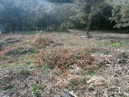 vente Terrain constructible Monoblet