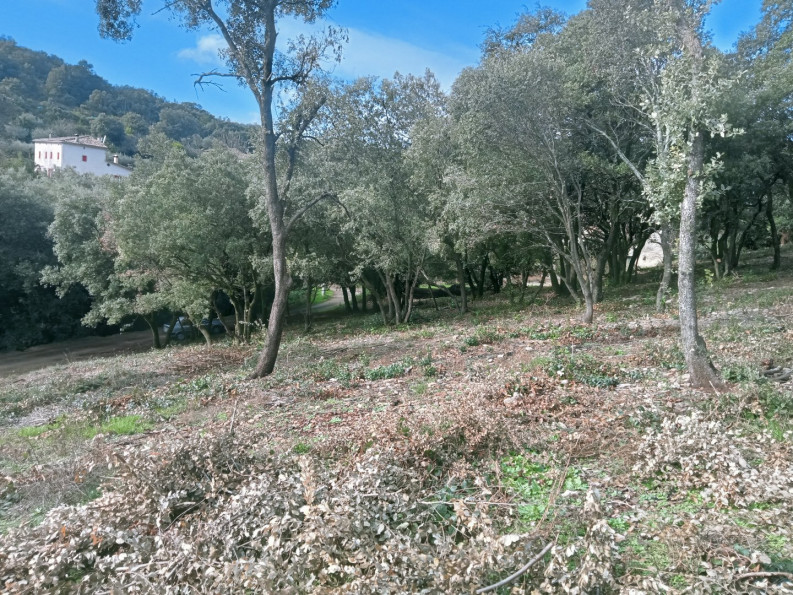 vente Terrain constructible Monoblet - Photo 7