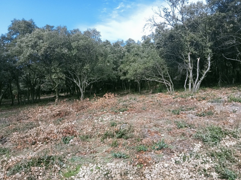 vente Terrain constructible Monoblet - Photo 8