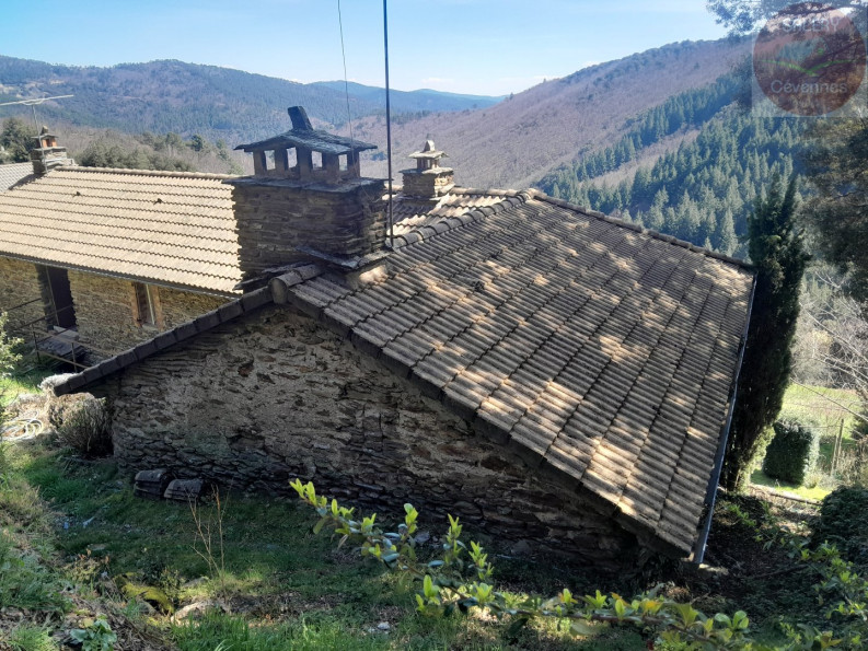 vente Mas Saint Hilaire De Lavit - Photo 4